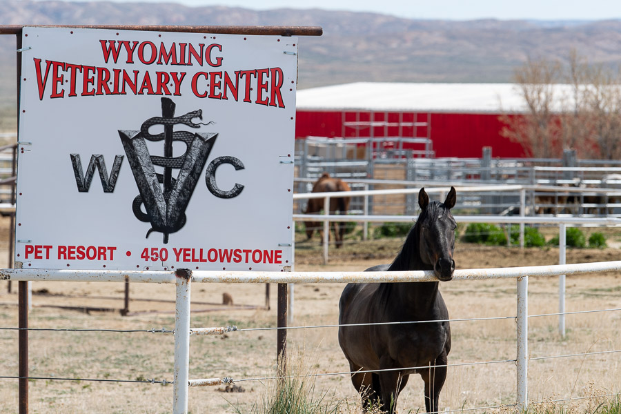 Equine Vet Center in Rock Springs Wyoming